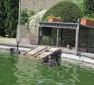 Garten und Villa Garzoni in Collodi