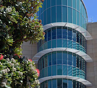 Te Papa Museum