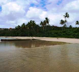 Man läßt den Blick schweifen