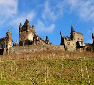 Morgendlicher Blick auf die Burg 