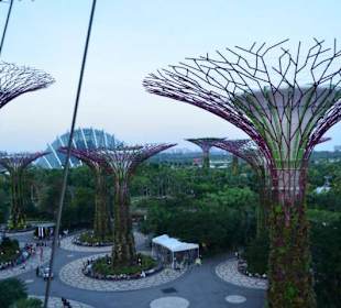 Gardens by the Bay
