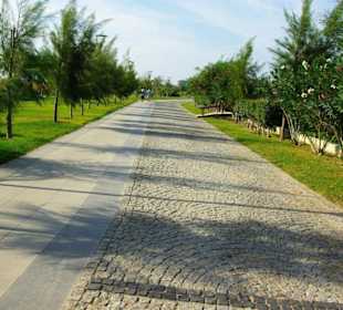 Inspirationen an d.Strandprom.entlang Nov.2010