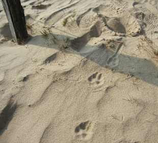 Wunderschöne Boberger Niederung