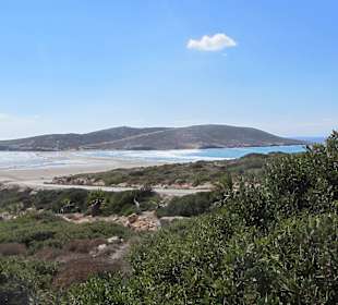 Prasonissi
