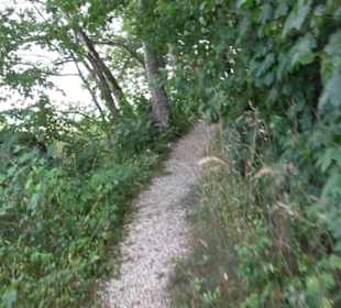 Berg Burgholz Holzelfingen