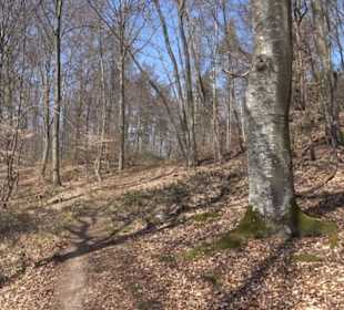 Geologischer Lehrpfad Kirnbachtal
