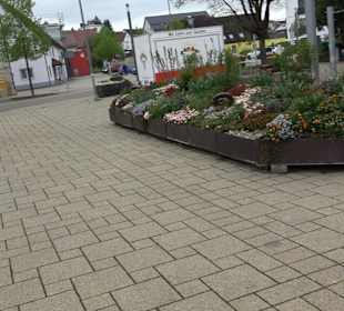 Martinskirche Nattheim