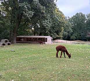 Steinerbos Belevenispark
