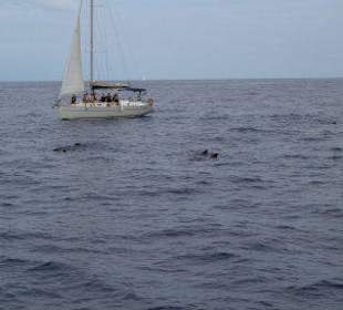 Wir waren nicht allein