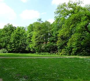 Frühlingsspaziergang durch das Eversten Holz