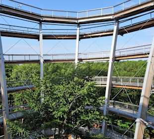 Im Turm des Baumwipfelpfades Steigerwald