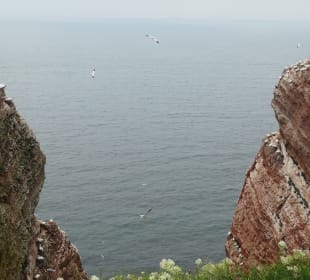 Helgoland: beim Lummenfelsen