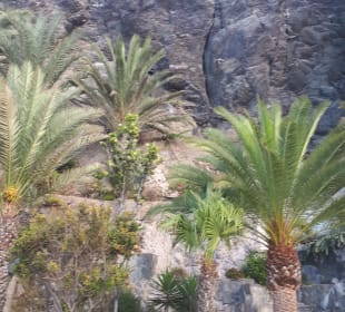 Stadtrundgang San Agustín