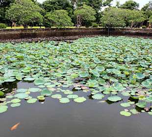 Tout proche d ela cité impériale hue