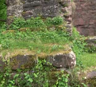 Burgruine Sterneck