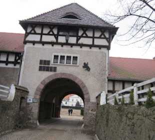 Schloss Fürstenstein ( Ksiaz ) Staatliches Gestüt