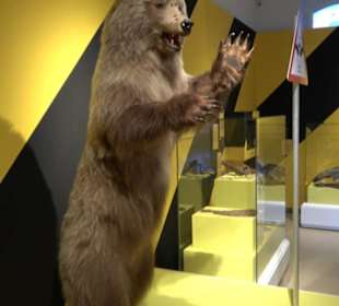 Museum Natur und Mensch