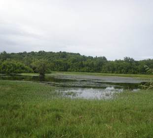 Im Naturschutzgebiet
