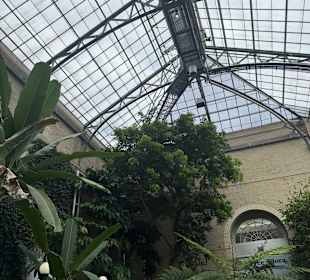 Botanischer Garten in Washington 