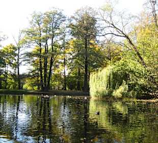 Jesień w Łazienkach