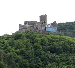Blick auf die Burg Landshut