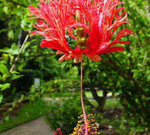 Rundgang durch den Jardin d´Eden