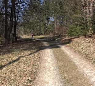 Geologischer Lehrpfad Kirnbachtal