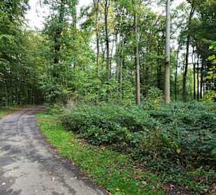 Rundgang durch den Stadtpark Versmold