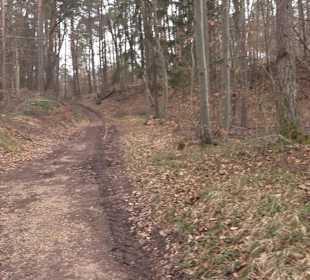 Unterjesinger Wengertwegle