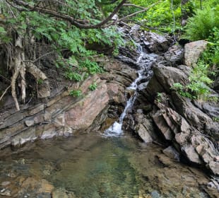 Wandern Hermagor - Pressegger See