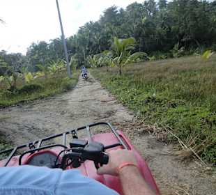 Quad-Tour