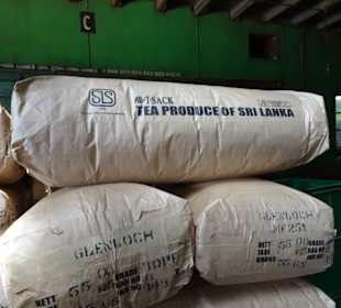 Hochland von Sri Lanka