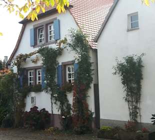 Rhodt unter Rietburg