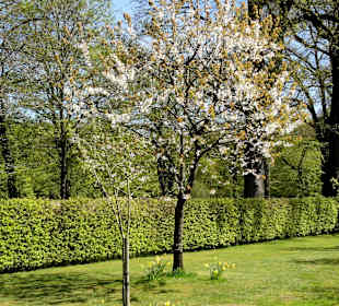 Klostergarten mit blühenden Bäumen