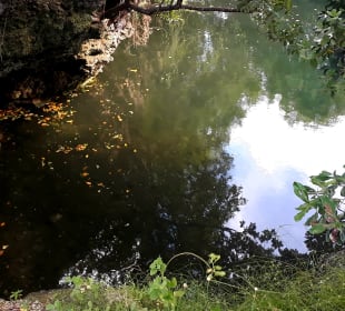 Mnarani Marine Schildkröten Conservation