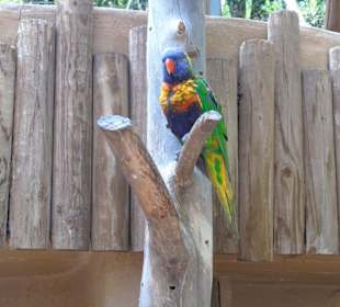 Palmitos Park