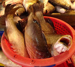 Auf dem Markt von Mahachai