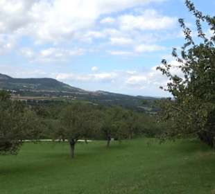 Hochgehnießen - Premiumspazierwanderweg