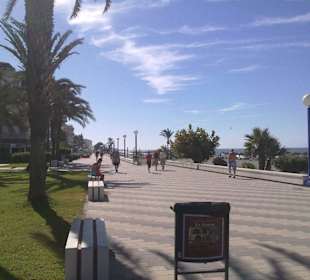 Blick Promenade, links