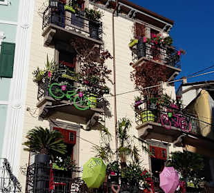 Stadtrundgang Malcesine