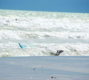 Strand Bibione 06_2011