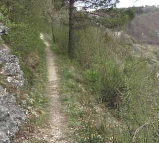 Burgruine Hohenhundersingen