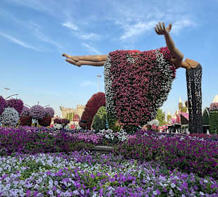 Dubai Miracle Garden