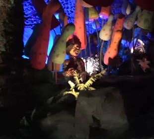 Themenbereich Deutschland