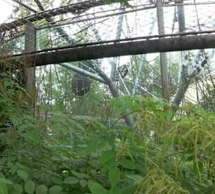 Tierpark Hellabrunn - Welt der Affen
