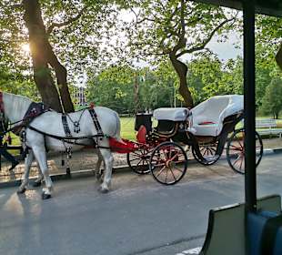 Stadtrundgang Albena