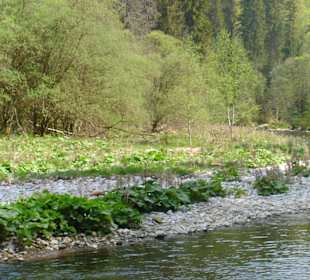 Sehenswerte Landschaft