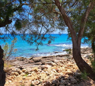 Strand Cala Moreia
