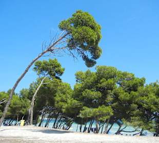 Strand Alcudia