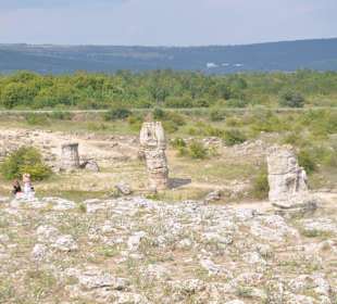 Stone Forest